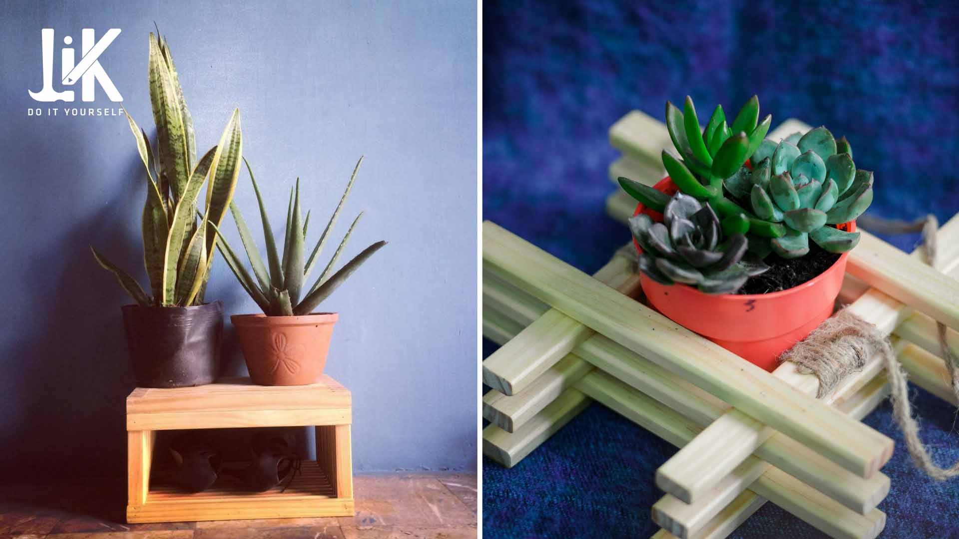 Hướng dẫn tự làm vườn trang trí mini trong nhà