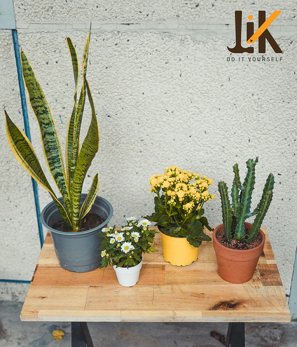 Ý tưởng thiết kế phòng tắm DIY