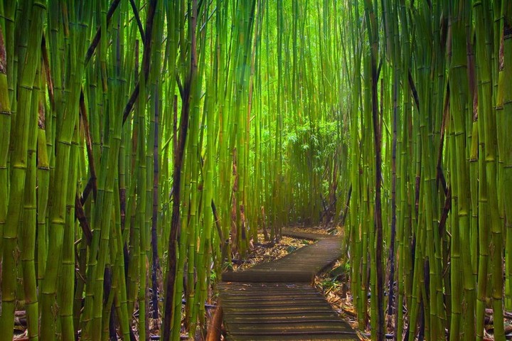 Những ngôi nhà đẹp lên nhờ linh hồn đồ vật bên trong, nơi nội thất được cọ xát với cuộc sống